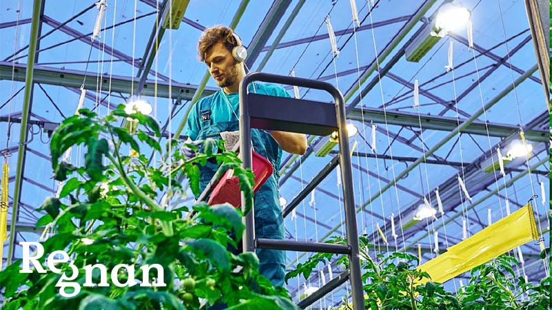 Regnan sustainable agriculture report.